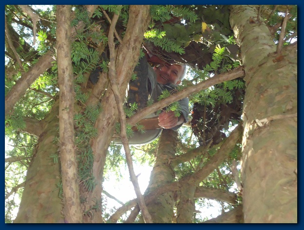 600x449 pixels (154K)